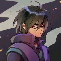 百分百菜鸟