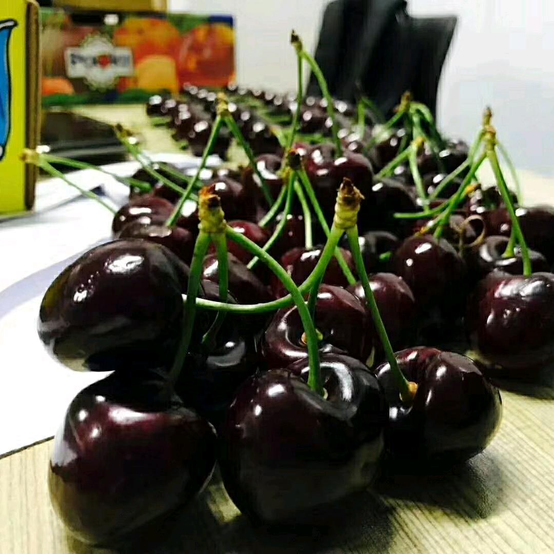 菜园水果超市