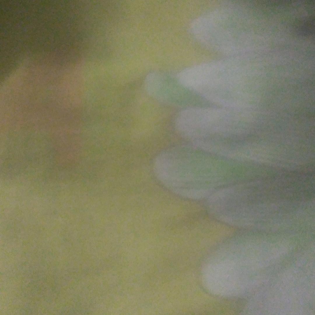 一支华