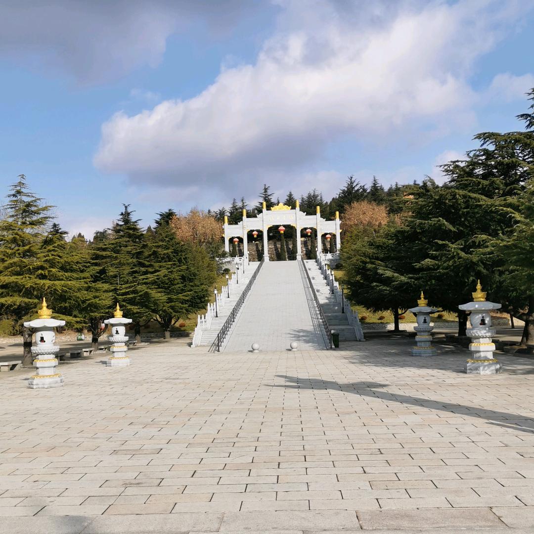 爱上音乐123