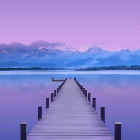 紫烟 浅蝶