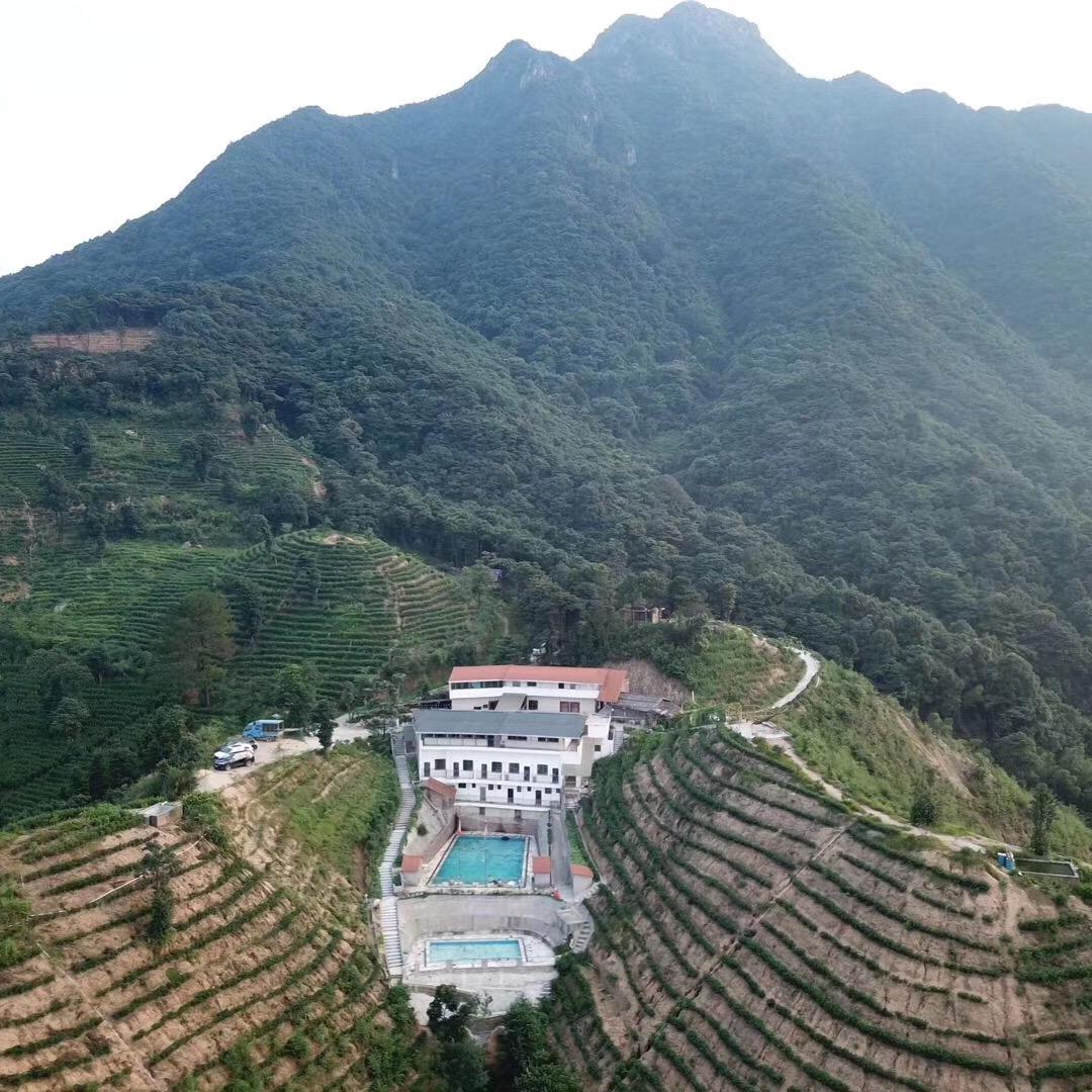 大罗山茶场（参战老兵农庄）