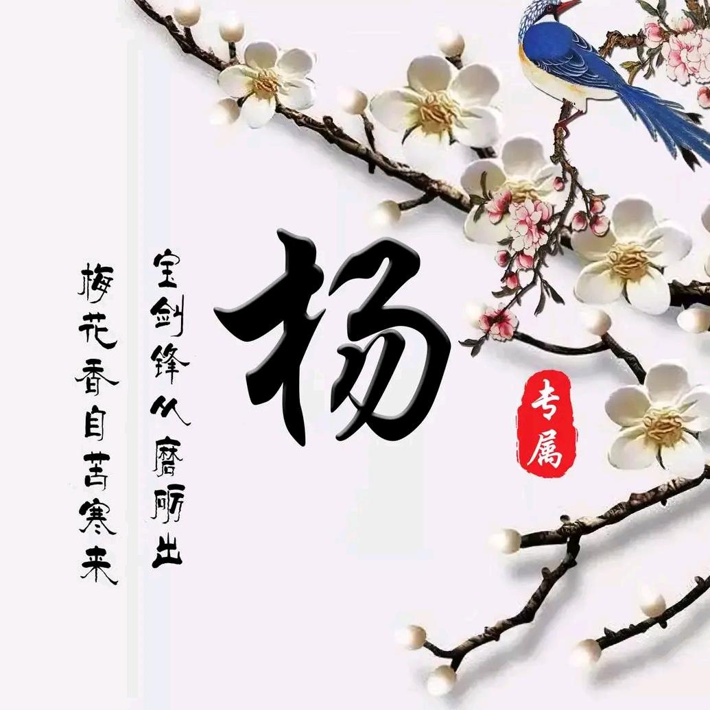 鹰击长空