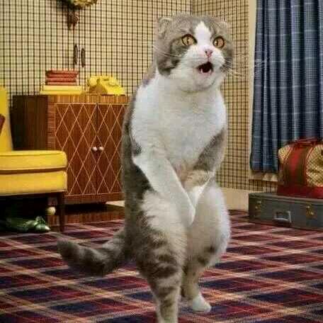 ℒℴѵℯ🥀暖你三生᭄࿐