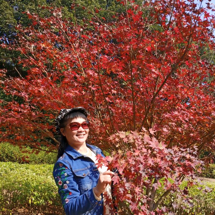 茉莉花