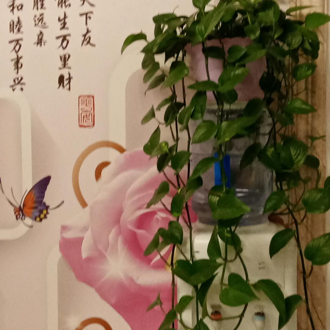 老梁