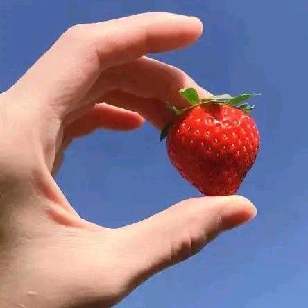 Love€清茶