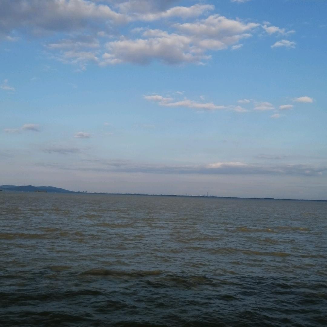 燕子