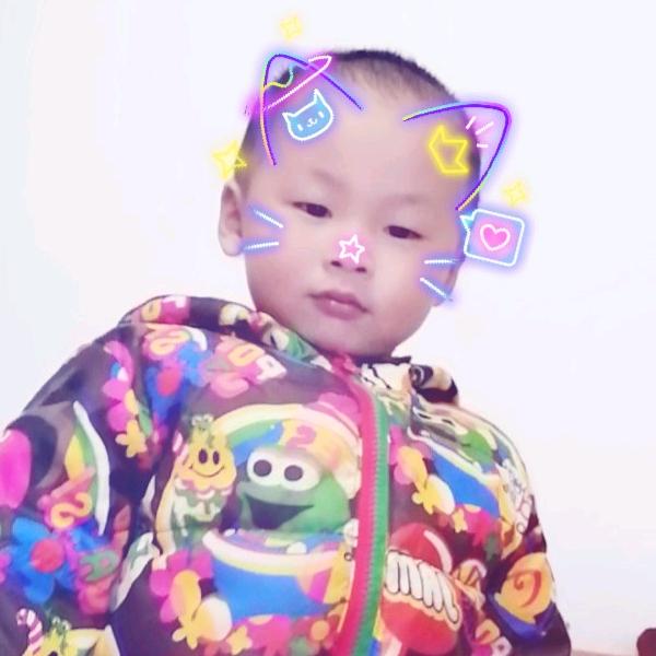 森林伊人