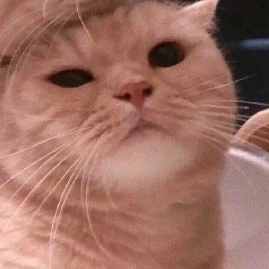 纯碱不是碱