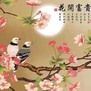 @兰兰