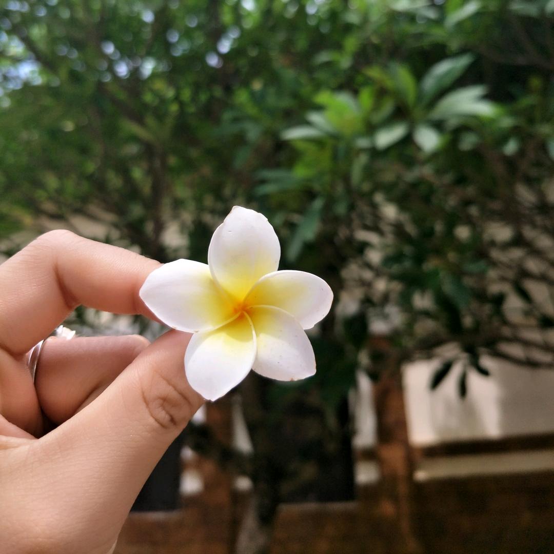 ជារៀងរហូត