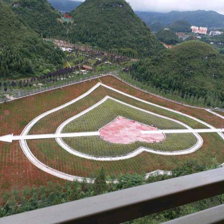用户7569440109934