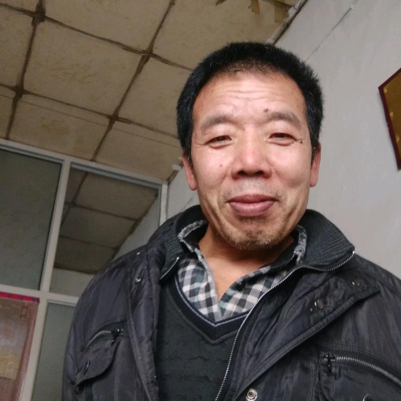 ＝霶沙九oo