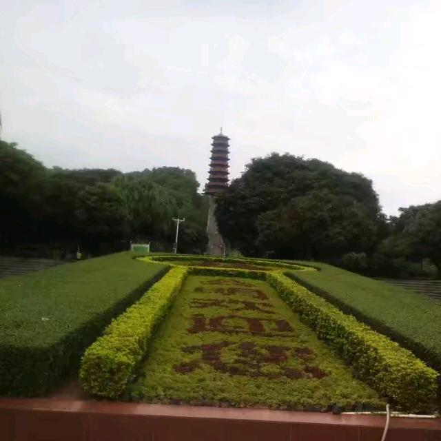 青春、还在