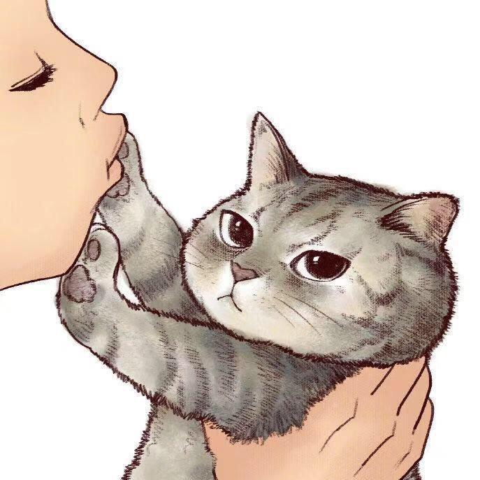 小花猫🐈
