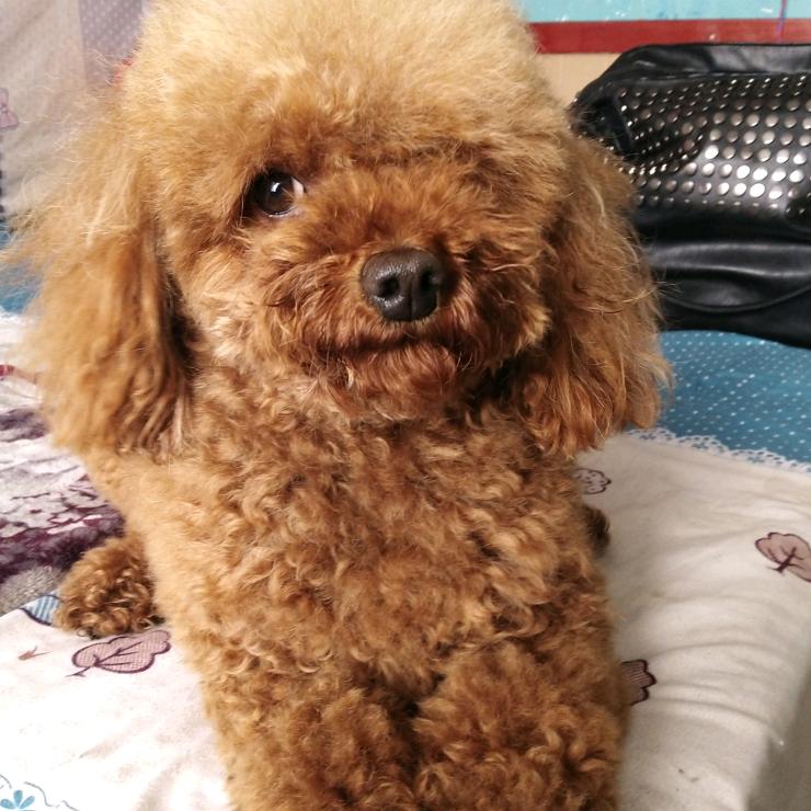 鑫御洗洗车坊