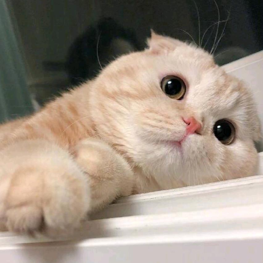 小海