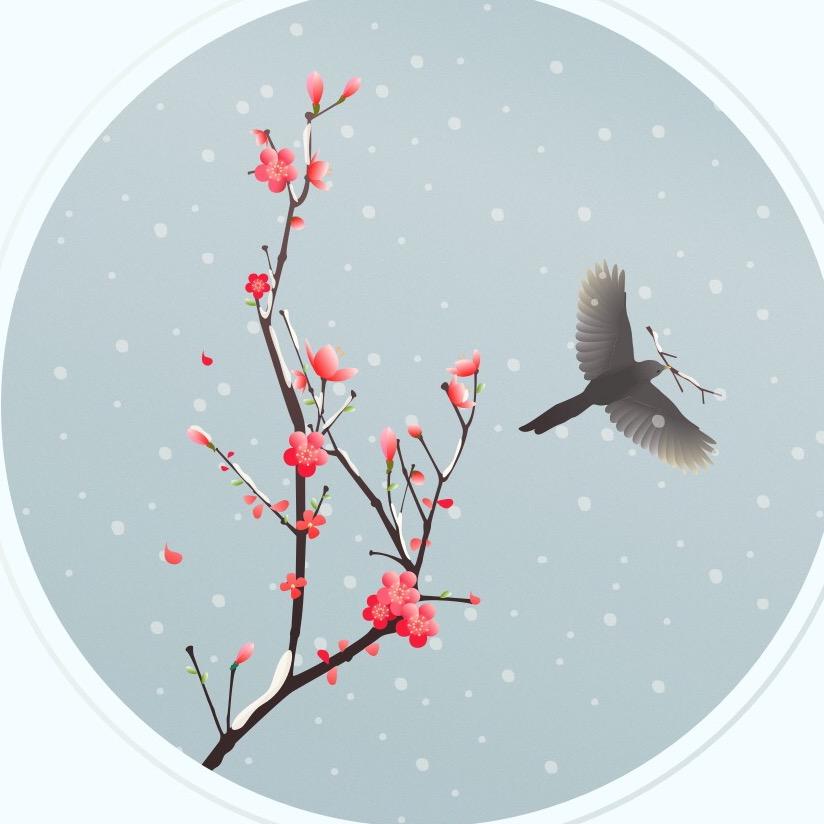 米朵
