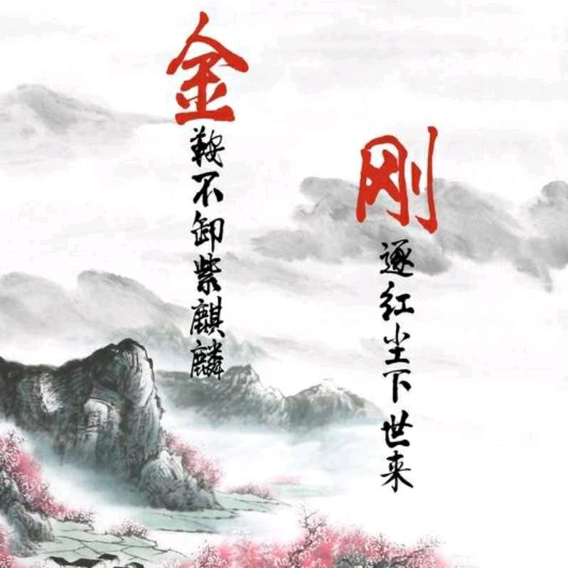 金子传媒《收团队 》