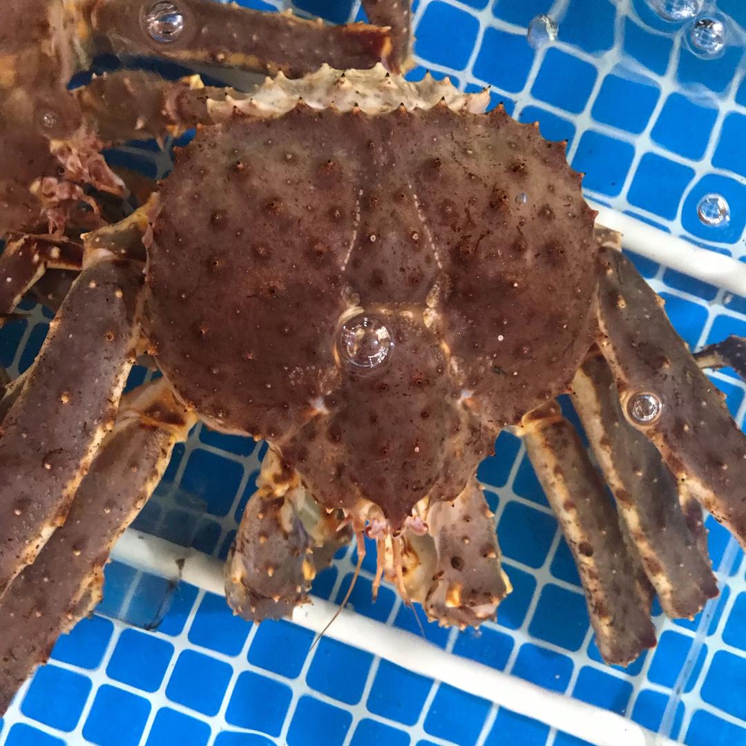 海边小亮（海鲜）