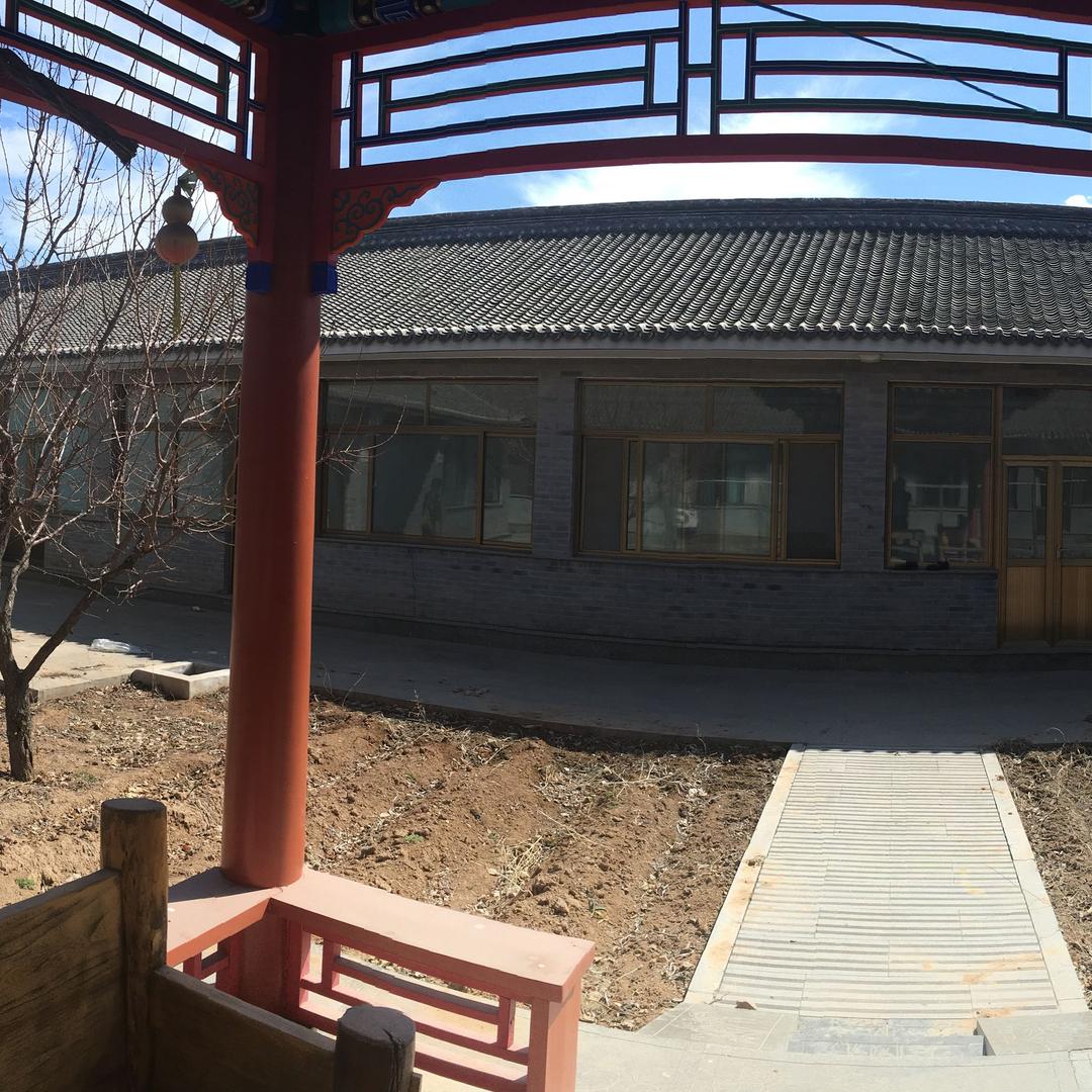 乌鸦
