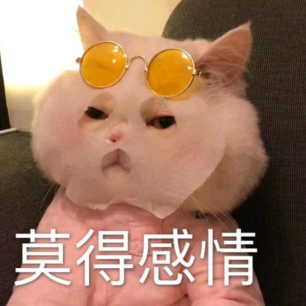 Zz我先睡了（见到两次许嵩版）
