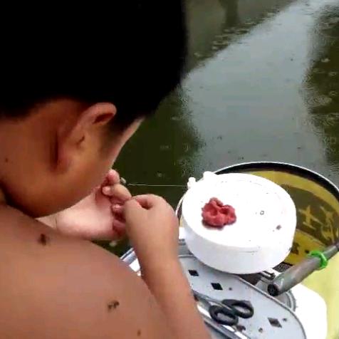 青山依旧在