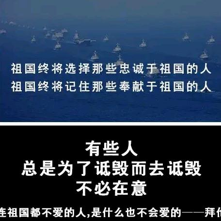 不怂的盾刃