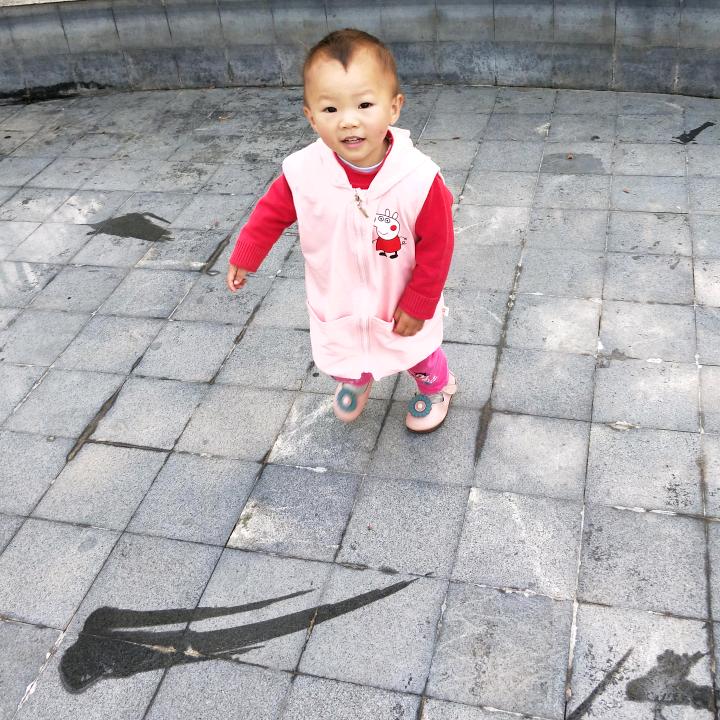 森林