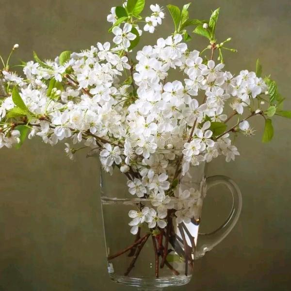 顺其自然💋💋