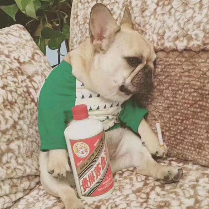 网络相遇也是永久的缘分