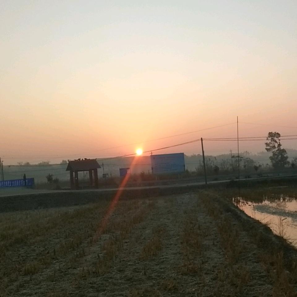 挖金哥