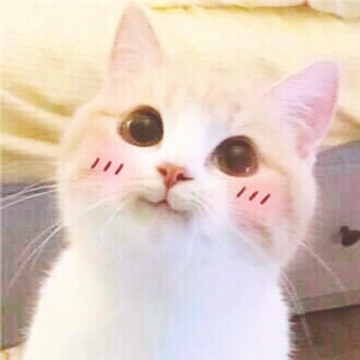 能能和小伙伴们