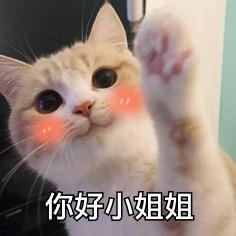 星辰