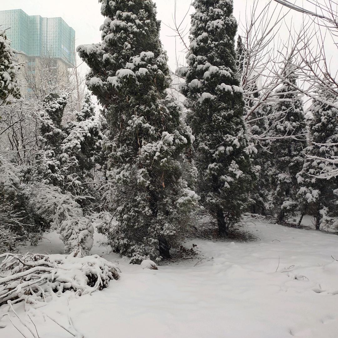 红色（既然，何必！）