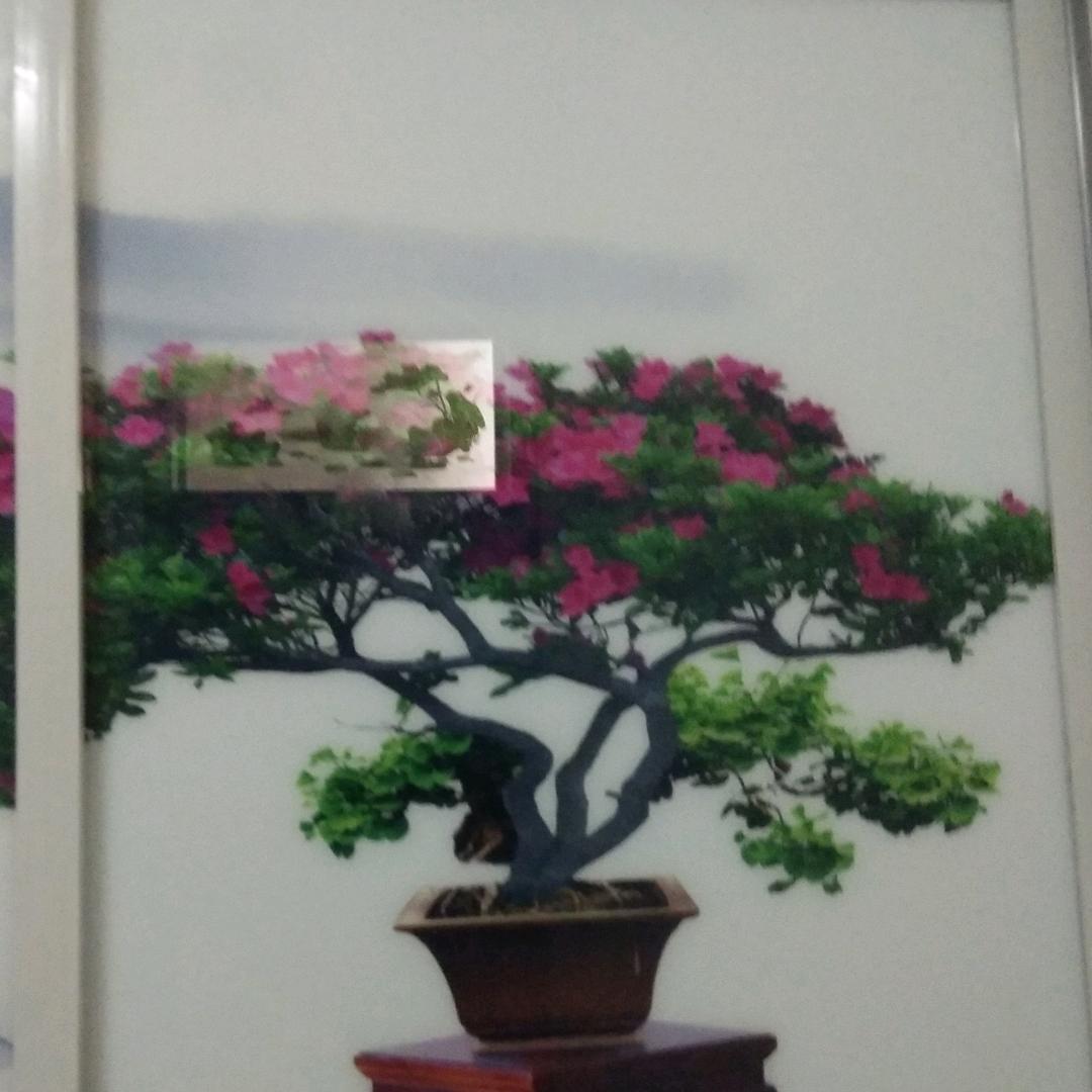 寒梅