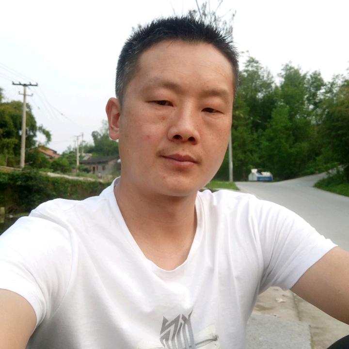 浪迹天涯