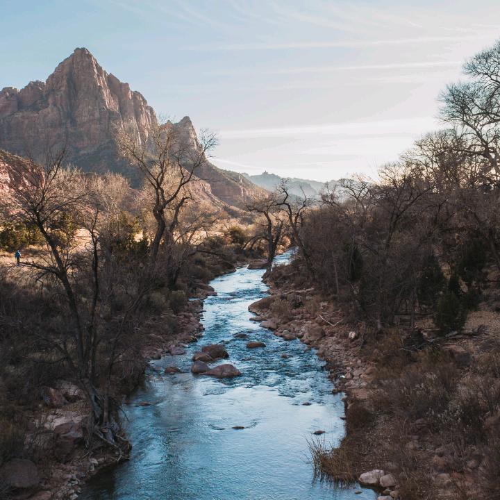 美丽乡村我在行