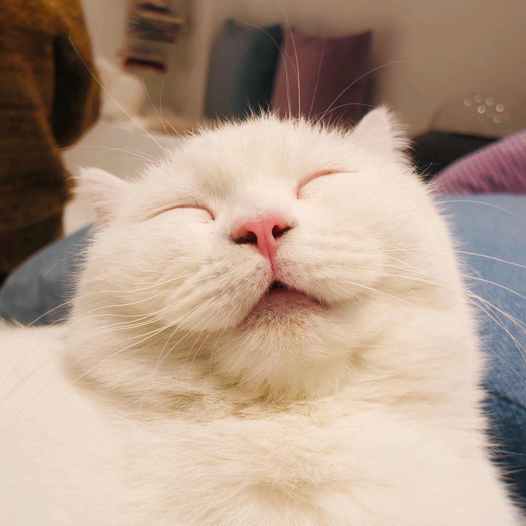 兰多湾·Lu café@抖音