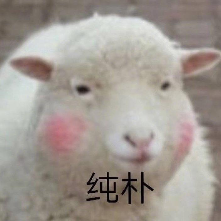 某龙的生活日记