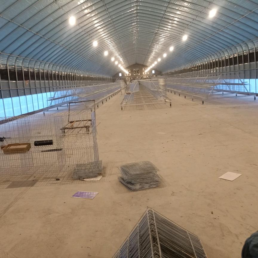 唐洋专业鸡笼安装