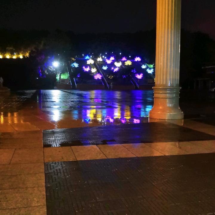 老六/