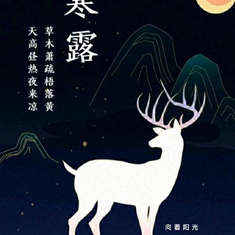向着阳光.生活