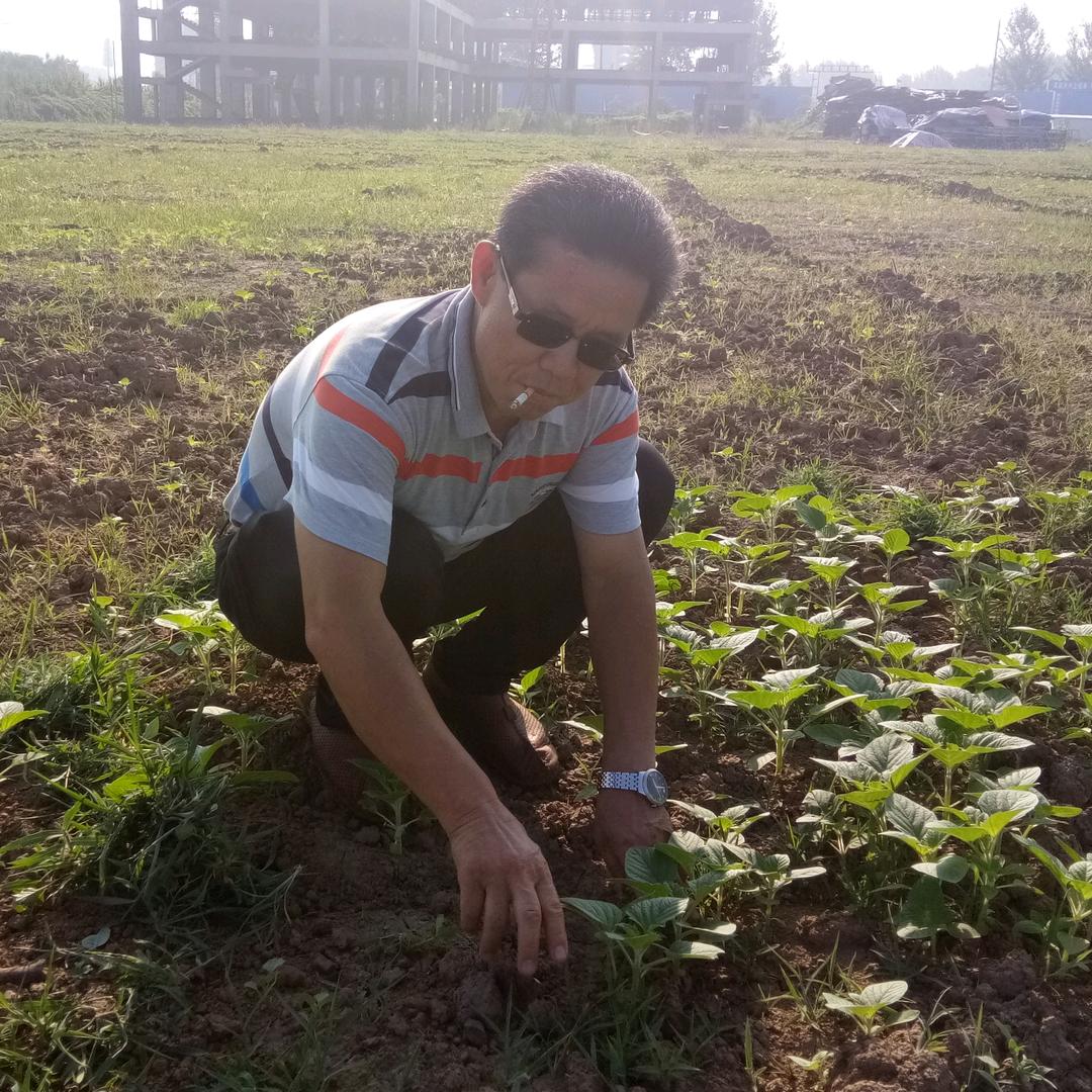 新蔡县冰上艺术学校