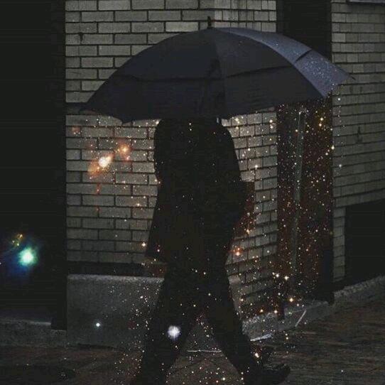 无序花朝三