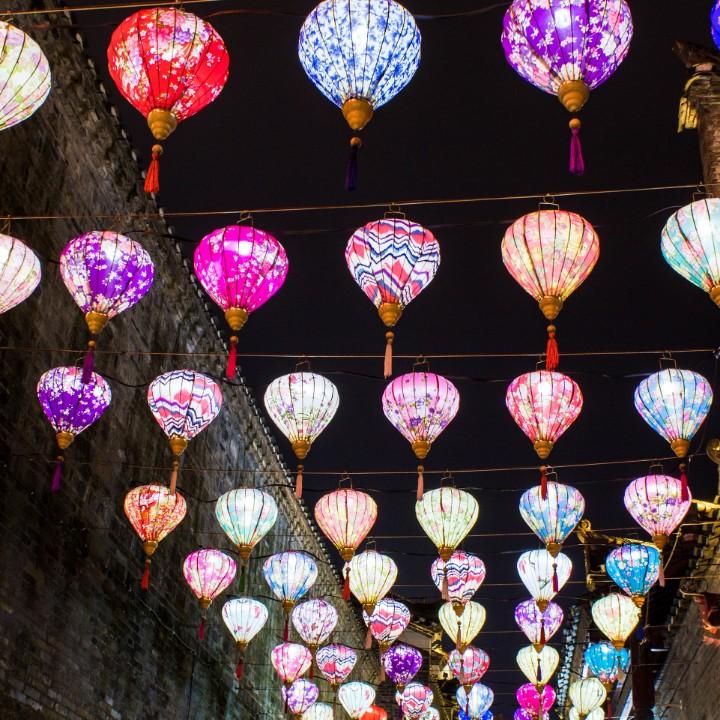 【向阳而生】¥