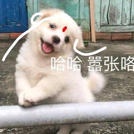 小爱同学在卖壳✨