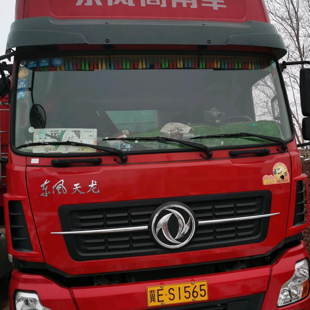 2025  新年快乐