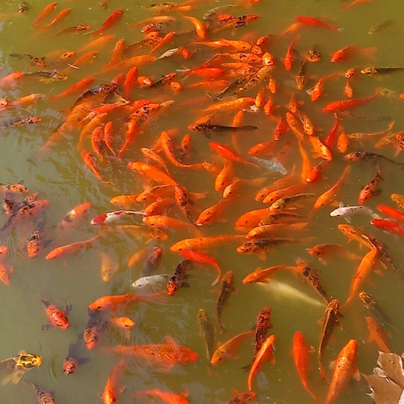 拓辉环保建筑